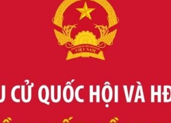 Bầu cử đại biểu Quốc hội và đại biểu HĐND: Những điều cần biết về khu vực bỏ phiếu