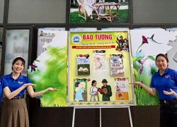 Tuổi trẻ xã Tam Anh ôn lại “thời hoa lửa” – bồi đắp lý tưởng, tiếp bước truyền thống