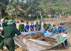 Đoàn phường Hải Châu ra quân xây dựng tuyến đường thanh niên “Sáng - xanh - sạch - đẹp” và bảo vệ môi trường biển