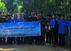 Tuổi trẻ xã Thạnh Bình ra quân hưởng ứng “Ngày Chủ nhật xanh” lần thứ III năm 2026