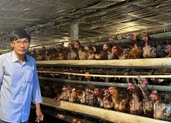 Thanh niên Duy Xuyên mạnh dạn phát triển kinh tế từ nguồn vốn vay Ngân hàng Chính sách xã hội