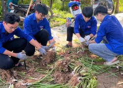 Tuổi trẻ Trà My ra quân xây dựng tuyến đường “Sáng - Xanh - Sạch - Đẹp - An toàn”