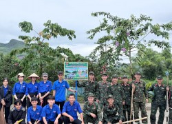 Xã Nông Sơn ra quân “Ngày thứ Bảy tình nguyện” xây dựng tuyến đường thanh niên tự quản sáng – xanh – sạch – đẹp