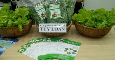BẢO TRỢ THÔNG TIN SẢN PHẨM OCOP – HỢP TÁC XÃ RAU TÚY LOAN, XÃ HÒA PHONG, HUYỆN HÒA VANG BẢO TRỢ THÔNG TIN SẢN PHẨM OCOP – HỢP TÁC XÃ RAU TÚY LOAN, XÃ HÒA PHONG, HUYỆN HÒA VANG