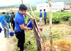Đoàn xã Sông Vàng tổ chức Lễ phát động Tết trồng cây “Đời đời nhớ ơn Bác Hồ” năm 2026