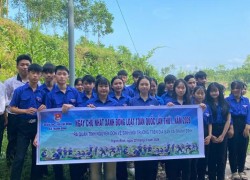 Tuổi trẻ Thạnh Bình ra quân Chủ nhật xanh chung tay bảo vệ môi trường