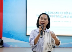 Tuổi trẻ Đà Nẵng hành động vì biển quê...