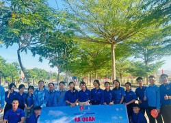Đoàn phường Điện Bàn Đông ra quân hưởng ứng “Ngày Chủ nhật xanh” lần II năm 2026