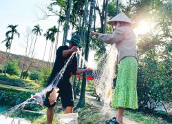 Thanh niên Núi Thành khởi nghiệp – làm giàu trên chính quê hương