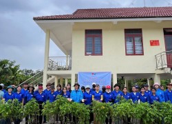 Tuổi trẻ xã Trà Liên thực hiện công trình “Con đường hoa thanh niên” chào mừng Đại hội Đoàn toàn quốc lần thứ XIII