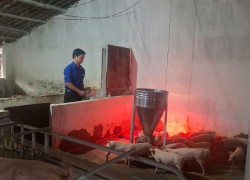 Bí thư Chi đoàn thôn Xuân Phú Phan Văn Chí – gương thanh niên khởi nghiệp, phát triển kinh tế giỏi