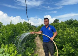 Nguyễn Văn Lâm khởi nghiệp từ mô hình quật giống, quật cảnh Cẩm Hà