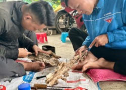 Huỳnh Ngọc Sơn – Thanh niên xuất ngũ khởi nghiệp với mô hình nuôi chồn hương tại xã Lãnh Ngọc