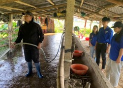 Thanh niên Nguyễn Đình Quy phát triển kinh tế gia đình từ mô hình chăn nuôi chuồng trại tại xã Điện Bàn Tây