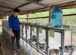 Tuổi trẻ Tây Hồ: Triệu Văn Ý khởi nghiệp từ mô hình nuôi chồn hương