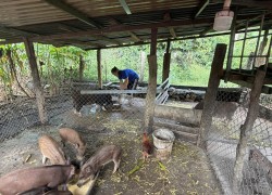 Ating Thị Thanh Thủy – Bí thư Chi đoàn Trường TH&THCS Thạnh Mỹ năng động phát triển kinh tế vườn