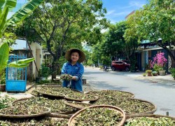 Võ Thị Tĩnh – Gương thanh niên phường Bàn Thạch khởi nghiệp từ đặc sản núi rừng và dược liệu địa phương