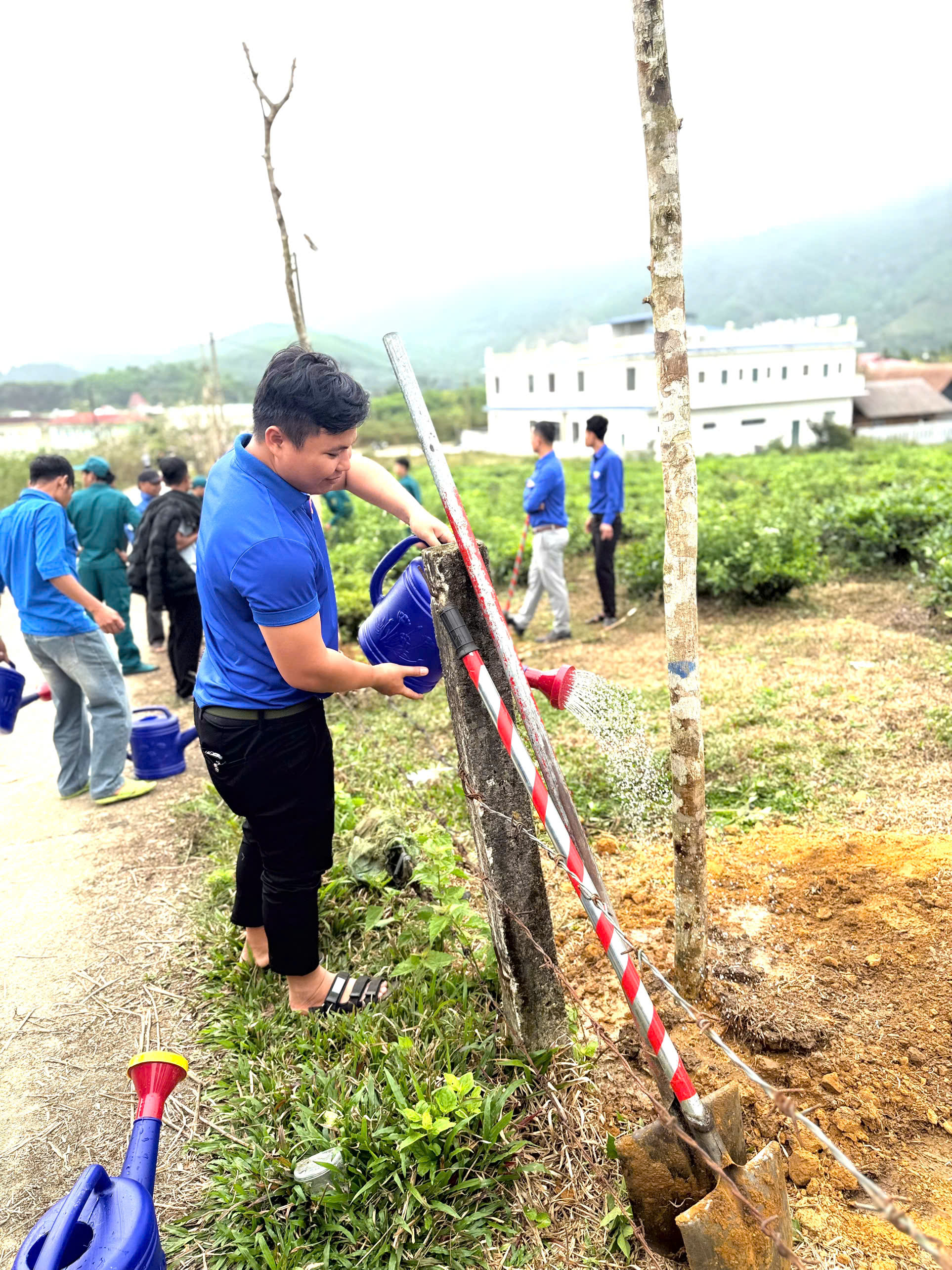 Đoàn xã Sông Vàng tổ chức Lễ phát động Tết trồng cây “Đời đời nhớ ơn Bác Hồ” năm 2026