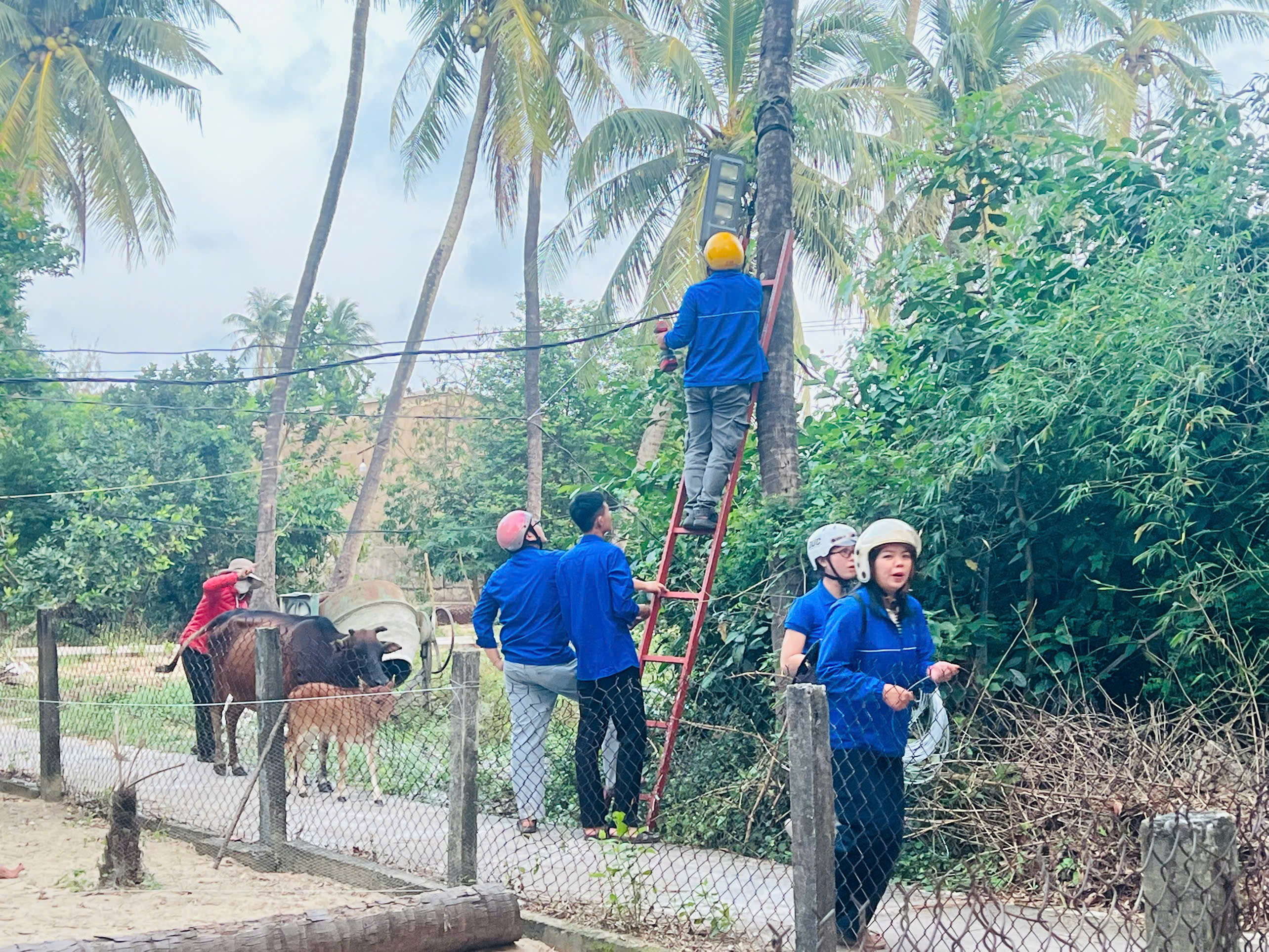 Đoàn xã Tam Hải thực hiện chương trình “Ánh sáng thanh niên”