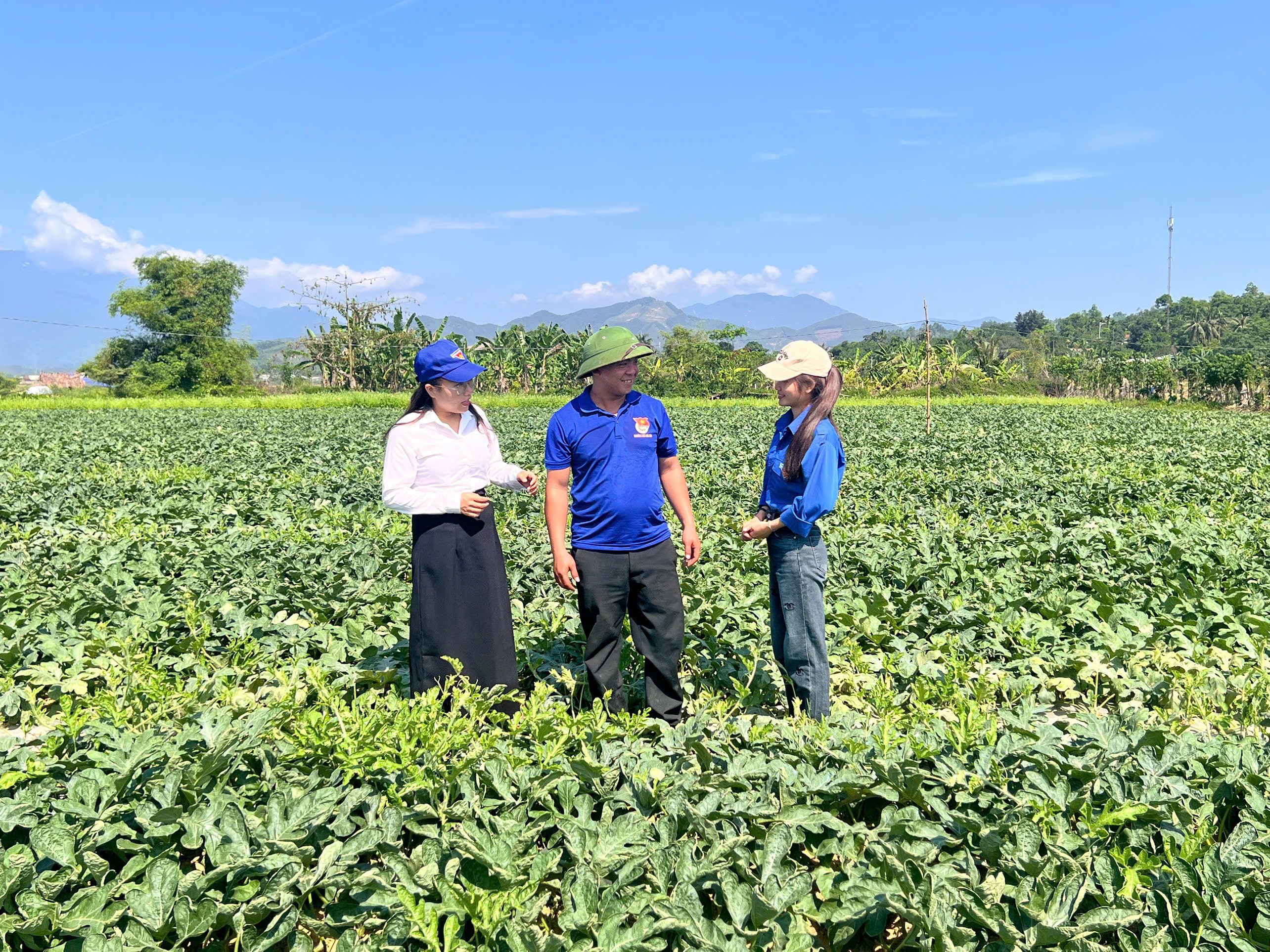Xã Bà Nà: Bí thư Chi đoàn thôn Hòa Khương Đông tiên phong phát triển mô hình trồng dưa hấu trên đất hoang