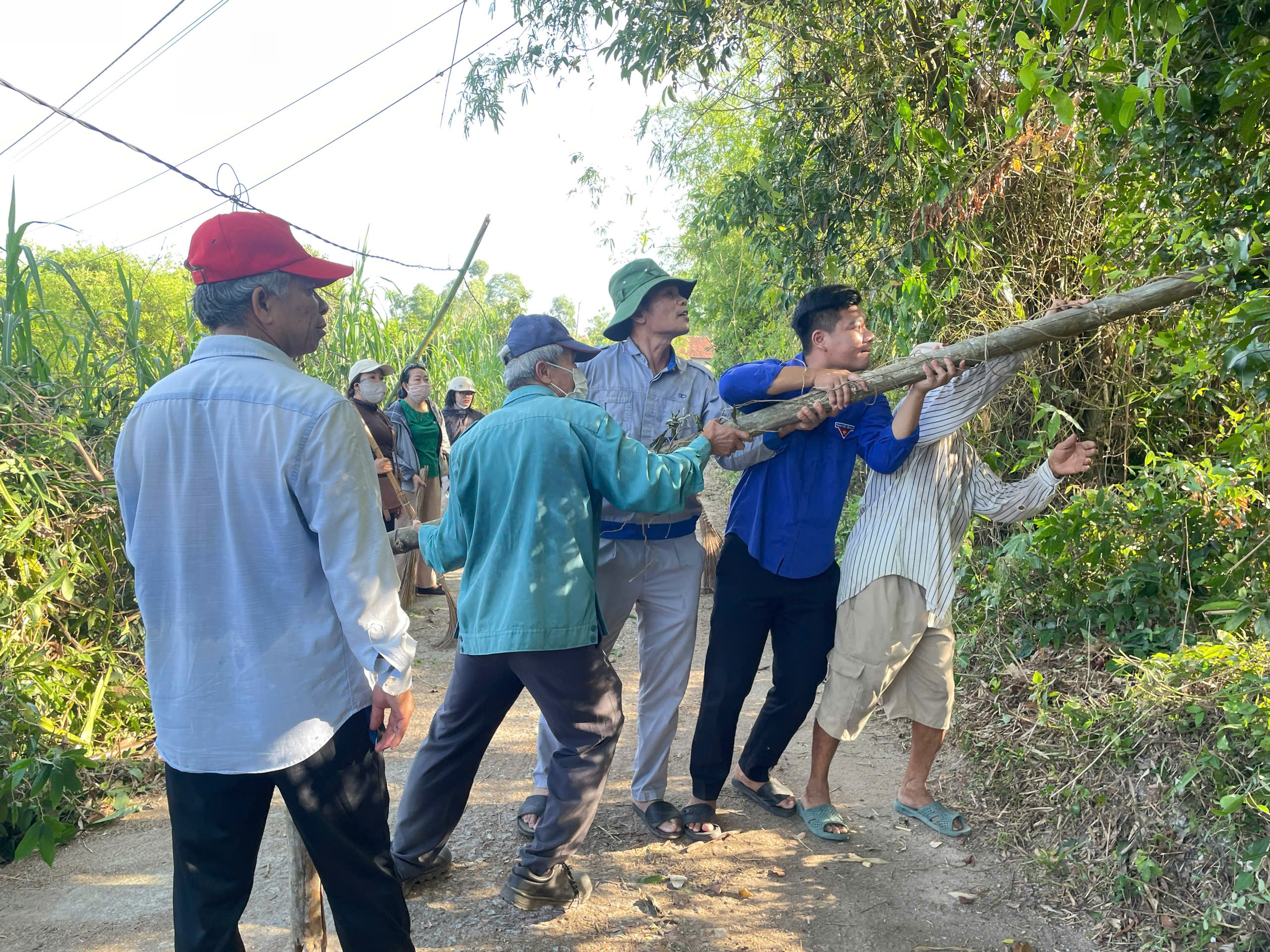Đoàn Thanh niên phường Tam Kỳ ra quân chiến dịch “Khu dân cư không lăng quăng, bọ gậy”