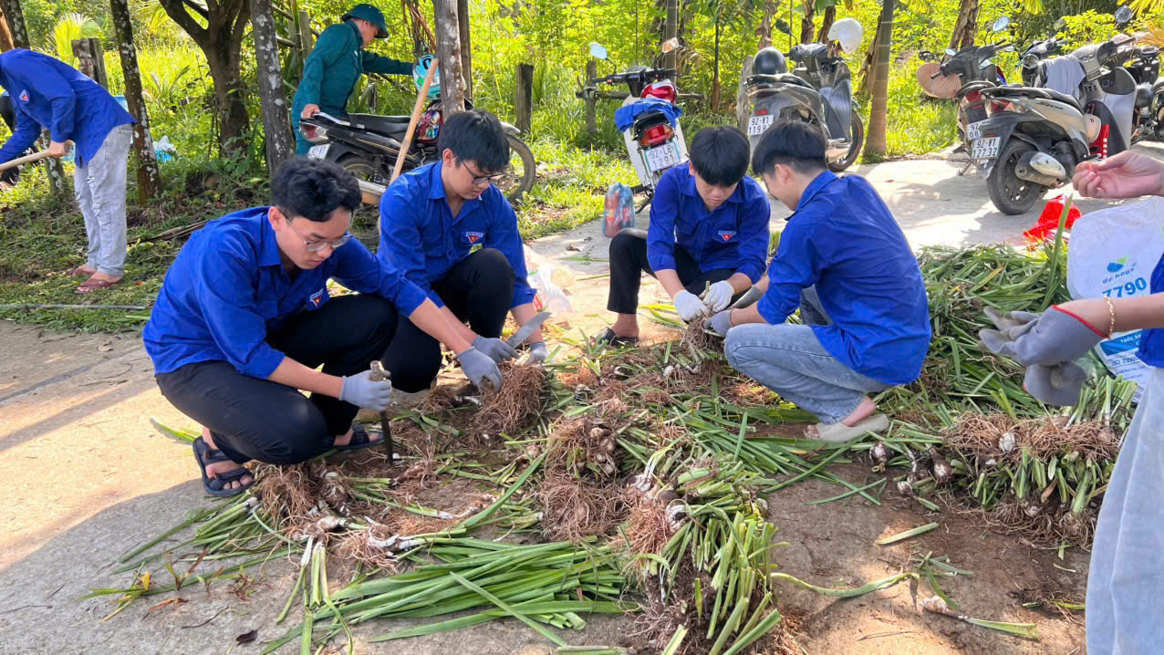 Tuổi trẻ Trà My ra quân xây dựng tuyến đường “Sáng - Xanh - Sạch - Đẹp - An toàn”