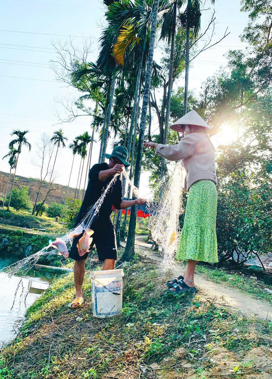 Thanh niên Núi Thành khởi nghiệp – làm giàu trên chính quê hương