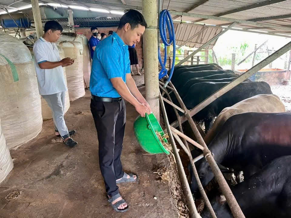 Nguyễn Văn Đại – gương thanh niên Gò Nổi phát triển kinh tế hiệu quả từ mô hình chăn nuôi tổng hợp