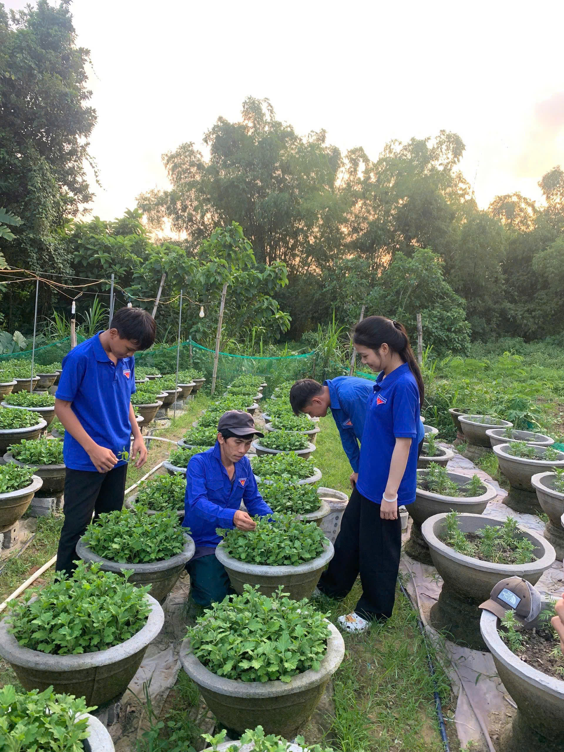 Thanh niên Nguyễn Đức Dương phát triển kinh tế gia đình từ mô hình trồng hoa tại xã Điện Bàn Tây