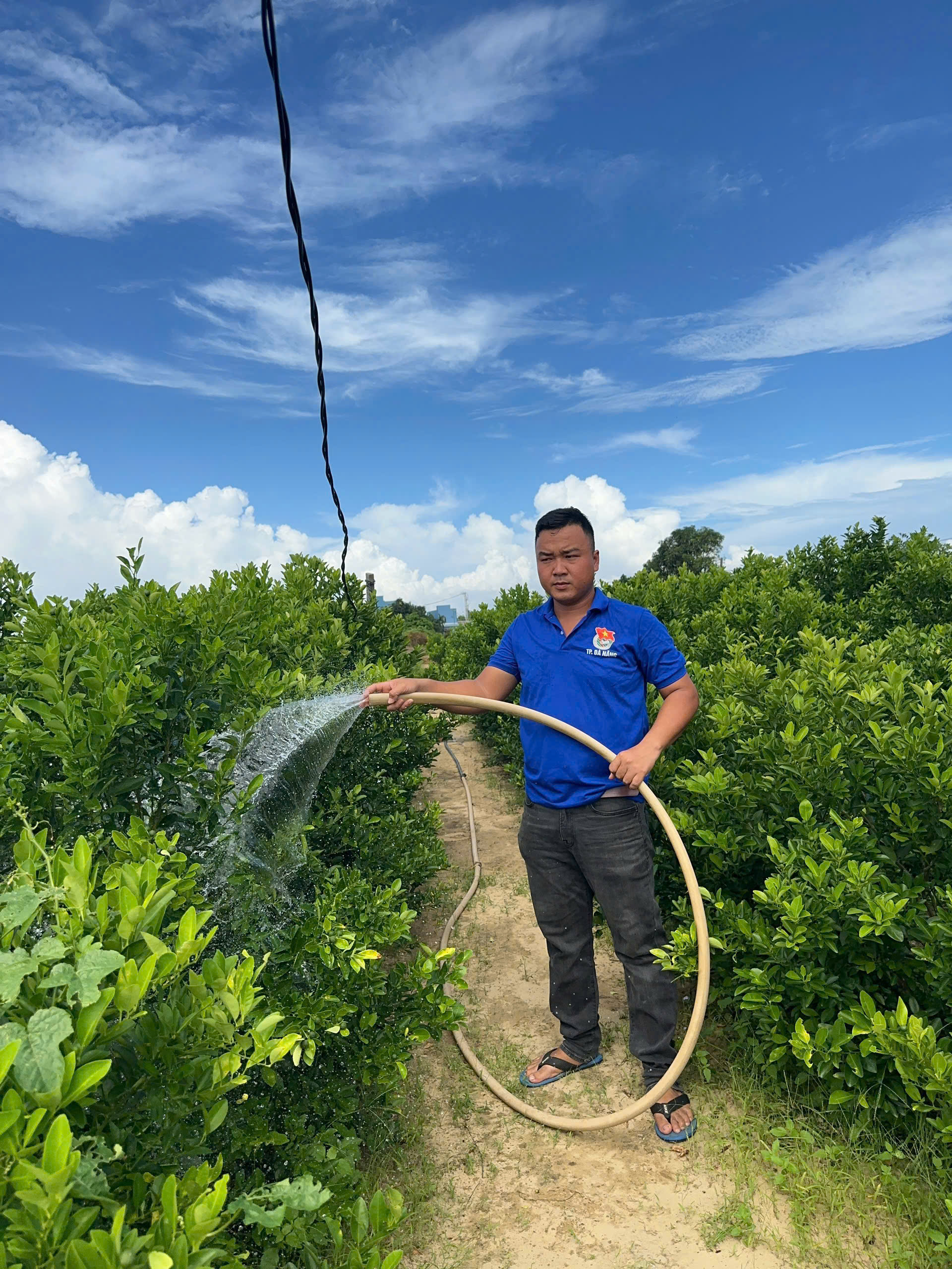 Nguyễn Văn Lâm khởi nghiệp từ mô hình quật giống, quật cảnh Cẩm Hà
