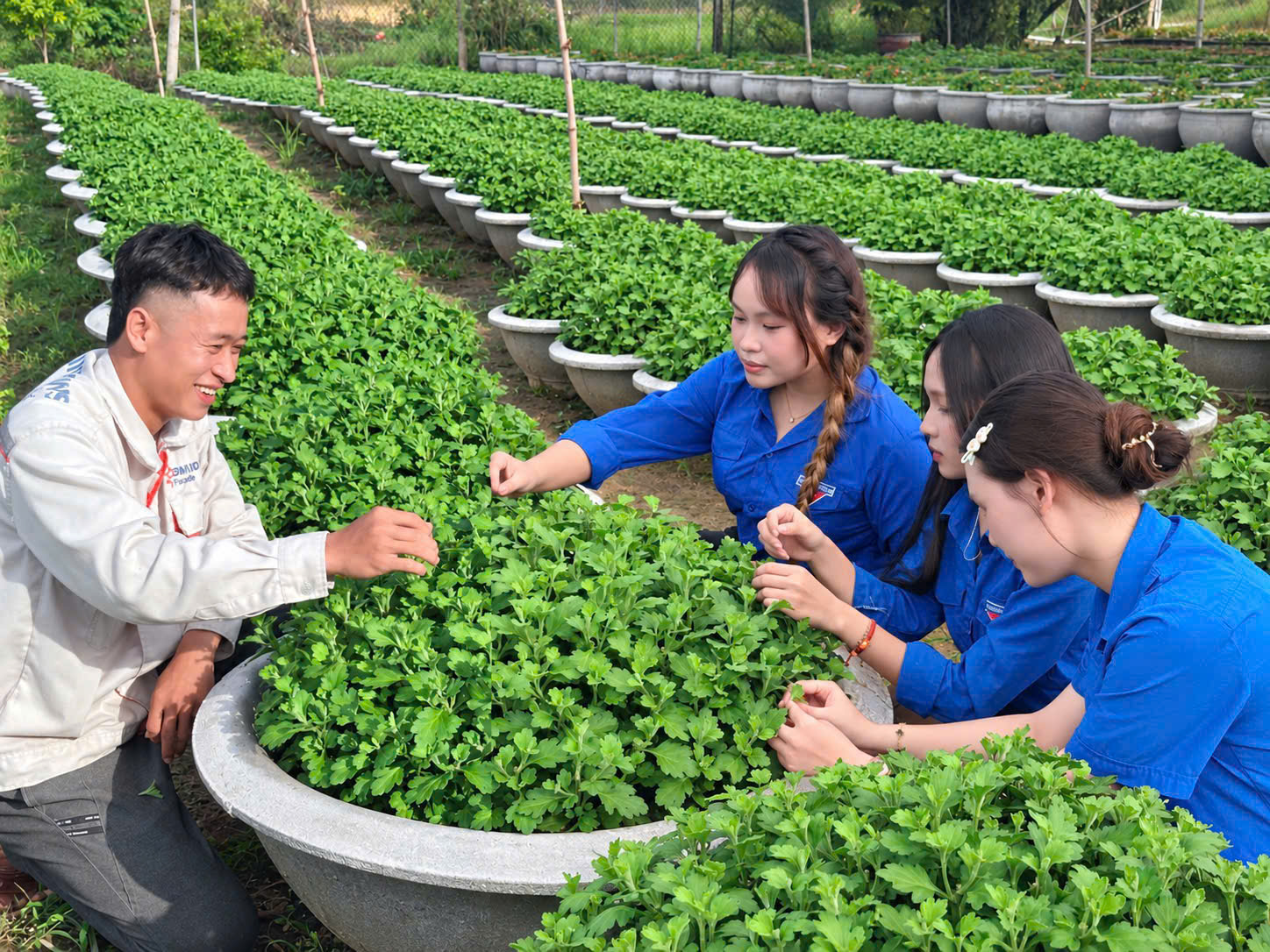 Phạm Văn Quy khởi nghiệp từ nghề trồng hoa cảnh, gieo khát vọng trên quê hương Điện Bàn Bắc