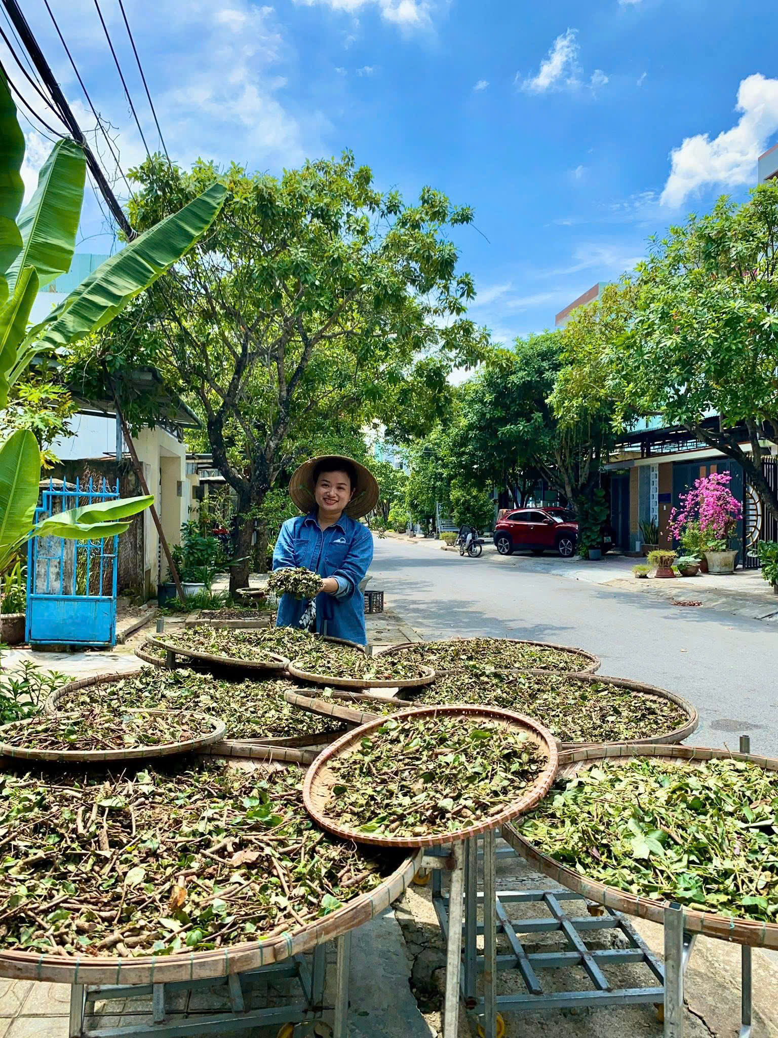 Võ Thị Tĩnh – Gương thanh niên phường Bàn Thạch khởi nghiệp từ đặc sản núi rừng và dược liệu địa phương
